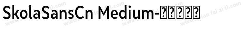 SkolaSansCn Medium字体转换